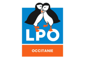 Aide au suivi de la population audoise de Faucon crécerellette